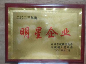 荣誉十五