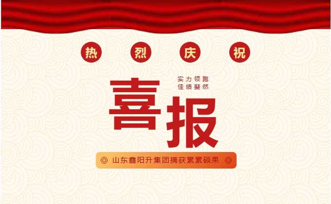 喜报：山东鑫阳升集团荣获“石都杯”大赛双项殊荣！
